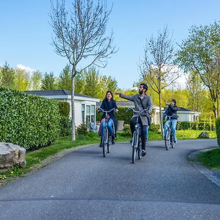 Modern Near The Golf Course Velsen-Zuid